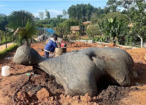 Xôn xao người đàn ông phát hiện tảng đá hình rùa lúc đào móng làm nhà, có người trả mua với giá 1 tỷ đồng?