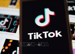 Các nghị sĩ Mỹ đưa ra dự luật bảo vệ thông tin người dùng TikTok