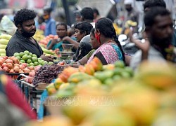 OECD: Kinh tế G20 tăng trưởng 0,9% trong quý I/2023