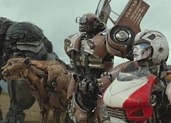 'Transformers: Rise of the Beasts' tiếp tục bị chê bai và 'ghẻ lạnh'