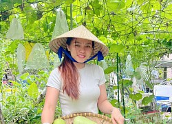 Chi 10 triệu cho mảnh vườn thứ hai sau khi đã có "vựa rau" rộng 70m2: Nhìn mê, chăm thì không dễ!