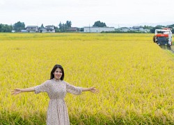 Cô gái Việt bỏ chuỗi cửa hàng sang Nhật làm nông, chinh phục mẹ chồng khó tính