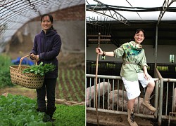 Tốt nghiệp tiến sĩ, cô gái bỏ phố về quê trồng rau: 11 năm làm nông, kiếm hơn 23,5 tỷ đồng/năm, ngoại hình thay đổi đến mức bố mẹ không thể nhận ra