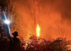 Indonesia thiệt hại hơn 28.000 ha do cháy rừng