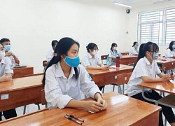 Nhiều học sinh Nghệ An, Hà Tĩnh quyết đi xuất khẩu lao động dù đậu đại học top đầu, nguyên nhân vì sao?