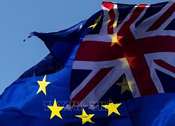 Brexit ảnh hưởng nghiêm trọng tới quan hệ thương mại, đầu tư giữa Anh và Đức