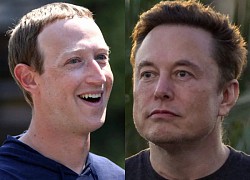 Elon Musk thách đấu Mark Zuckerberg, UFC dự báo doanh thu kỷ lục