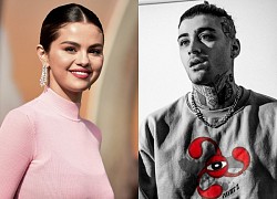 Selena Gomez đã "mập mờ" với Zayn Malik từ 2013?