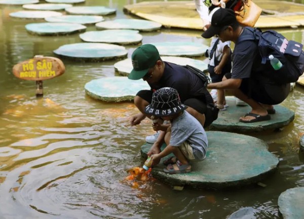 Người trẻ hào hứng cho đàn cá 'bú bình' trên núi ở Khánh Hòa