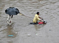 Pakistan: Tỉnh Punjab sơ tán hàng trăm người do lũ lụt