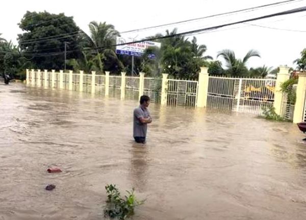 An Giang: Hơn 400 ha lúa và hoa màu bị thiệt hại do giông lốc