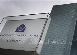 Chủ tịch ECB để ngỏ 2 kịch bản về chính sách lãi suất