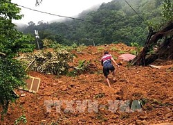 Động đất ngoài khơi bờ biển Trung Mỹ và tại Ecuador