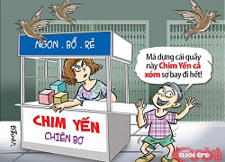 &#8216;Táo bạo&#8217; khắc chế nhà nuôi chim yến trong đô thị