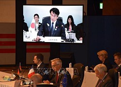 G7 thúc đẩy hợp tác trong lĩnh vực luật pháp và tư pháp