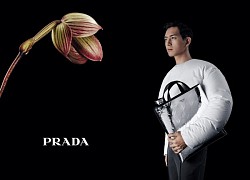 Ngây ngất với vẻ đẹp chiến dịch hoa nở rộ của Prada