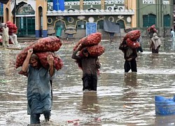 Gần 200 người chết và bị thương do mưa lũ ở Pakistan