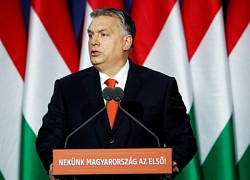 Thủ tướng Hungary kêu gọi NATO thúc đẩy đàm phán hòa bình ở Ukraine