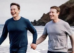 'Như chưa hề có cuộc chia ly', Elon Musk nắm tay Mark dạo biển