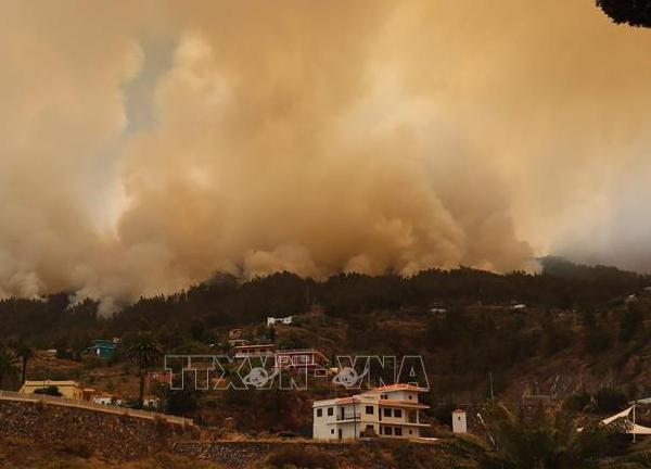 Tây Ban Nha: Cháy rừng tại đảo La Palma khiến trên 2.500 người phải sơ tán