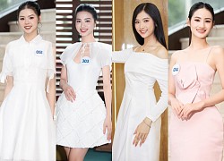 Miss World Việt Nam 2023: Profile khủng của 4 thí sinh được đặc cách vào thẳng chung kết