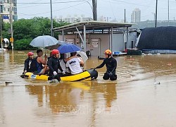 Hàn Quốc cân nhắc thành lập một tổ chức công - tư đối phó với thời tiết cực đoan