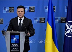 Hội đồng NATO - Ukraine nhóm họp trong tuần này