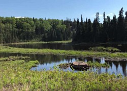 Xả thải thủy ngân gây tỷ lệ tự tử cao trong cộng đồng thổ dân Canada