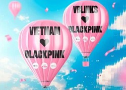 Fan Việt Nam chào đón BLACKPINK với loạt dự án hoành tráng