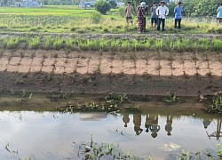 Hà Tĩnh: Phát hiện thi thể nam kỹ sư dưới kênh, gia đình nạn nhân nhận tin nhắn lạ