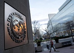 IMF nâng dự báo tăng trưởng kinh tế toàn cầu năm 2023