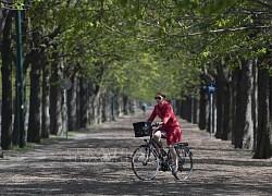 Vienna duy trì vị trí đứng đầu trong Top 10 thành phố đáng sống nhất thế giới