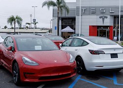 Mỹ điều tra 280.000 xe điện Tesla mới