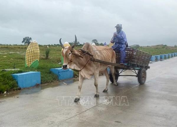 Siêu bão Saola khiến hàng trăm người Philippines phải sơ tán