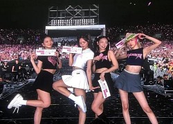 BLACKPINK chính thức đăng tải clip concert tại Hà Nội, hình ảnh chùa Trấn Quốc và nón lá Việt Nam gây xúc động