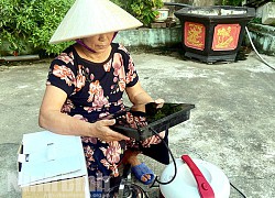 Tái diễn chiêu lừa đảo "mua hàng trả lại tiền"