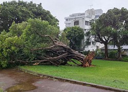 Trong lúc Nhật Bản nóng đến 40 độ C, bão Khanun tiếp tục gây sức ép