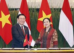 Truyền thông Indonesia nhấn mạnh quan hệ gắn bó với Việt Nam