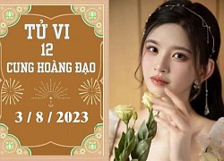 Tử vi vui 12 cung hoàng đạo ngày 3/8: Kim Ngưu thuận lợi, Sư Tử nóng vội