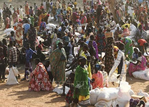 Giao tranh tại Sudan: Đoàn xe viện trợ nhân đạo của LHQ đến Đông Darfur