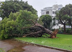 Nhật Bản, Hàn Quốc, Triều Tiên tăng cường ứng phó với bão Khanun