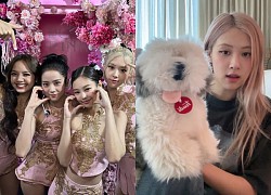 Rosé liên tục có động thái liên quan tới Việt Nam vào đúng dịp quan trọng của BLACKPINK, mang về ngay 6 triệu like