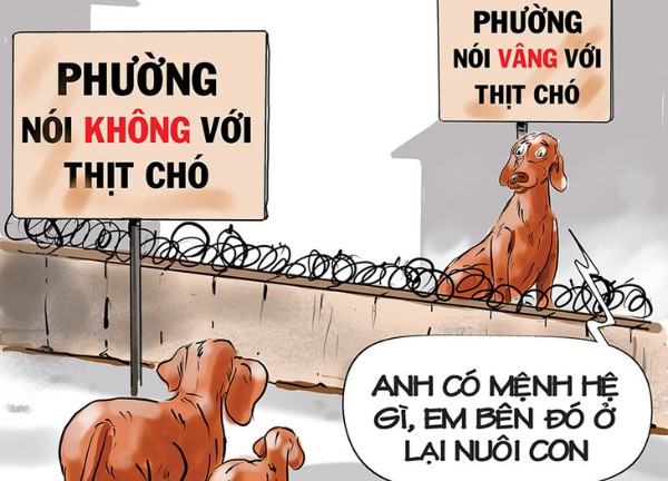 Đi 'công tác' ở nơi... nói vâng với thịt chó