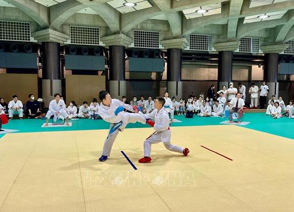 Sôi nổi giải đấu Karate của người Việt tại Nhật Bản