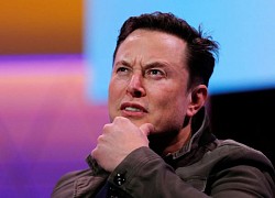 Tỉ phú Elon Musk chê đối thủ Mark Zuckerberg nhát gan, đòi đến tận nhà tỉ võ