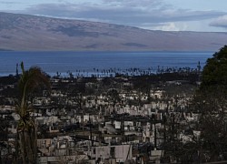 Còi cảnh báo thảm họa không hoạt động, chính quyền Hawaii nói gì?