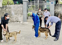 Quảng Ngãi: Người đàn ông tử vong sau 2 tháng bị chó cắn