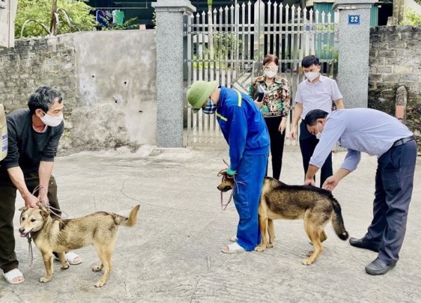 Quảng Ngãi: Người đàn ông tử vong sau 2 tháng bị chó cắn