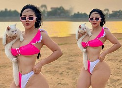 Chụp ảnh với mèo trên biển, hotgirl Vĩnh Phúc có khung xương chậu đẹp nức nở nhận "bão like"