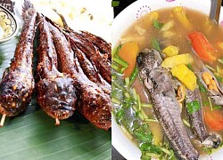 Loài cá biết leo cây và "chạy bộ", thịt rất ngon, là đặc sản trứ danh Thanh Hóa, giá 200.000 đồng/kg